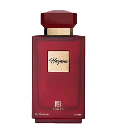 Hayana by Ahmed Al Maghribi